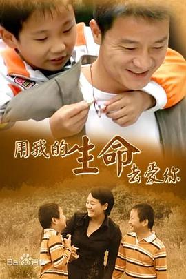 热血杨家将 封面图